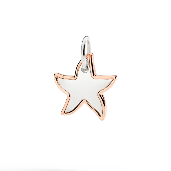 Ciondolo XL Stellina Argento e Oro Rosa